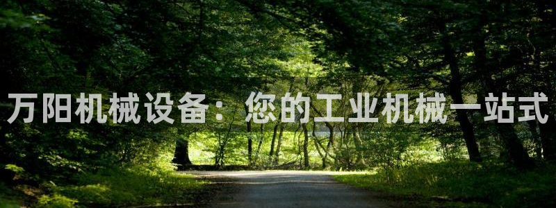 杏盛平台官网注册登录：万阳机械设备：您的工业机械一站式