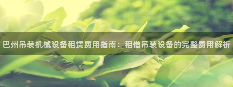 杏盛乐岳35994誓：巴州吊装机械设备租赁费用指南：租借吊装设备的完整费用解析