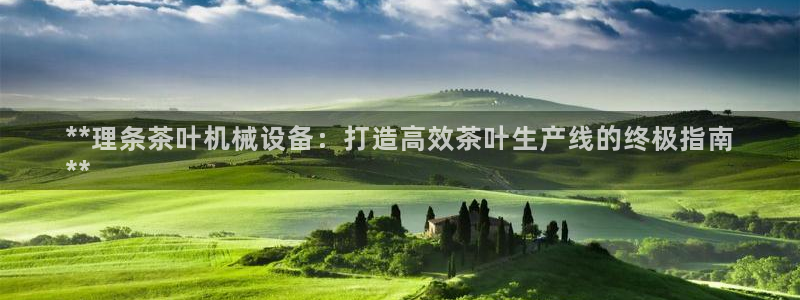 杏盛开户地址：**理条茶叶机械设备：打造高效茶叶生产线的终极指南
**