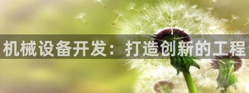 杏盛东24 35 53：机械设备开发：打造创新的工程