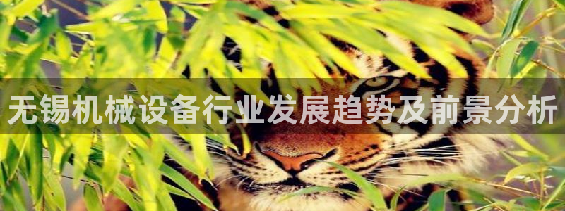 杏盛平台开户：无锡机械设备行业发展趋势及前景分析