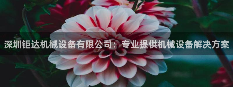 杏盛平台登录地址：深圳钜达机械设备有限公