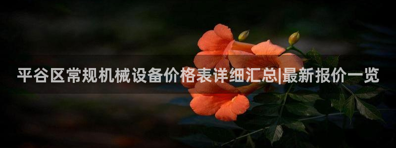 杏盛平台主管