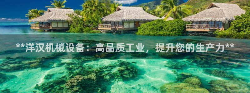 杏盛平台开户：**洋汉机械设备：高品质工业，提升您的生产力**