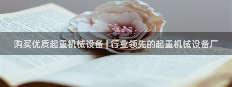 杏盛代理：购买优质起重机械设备 | 行业领先的起重机械设备厂