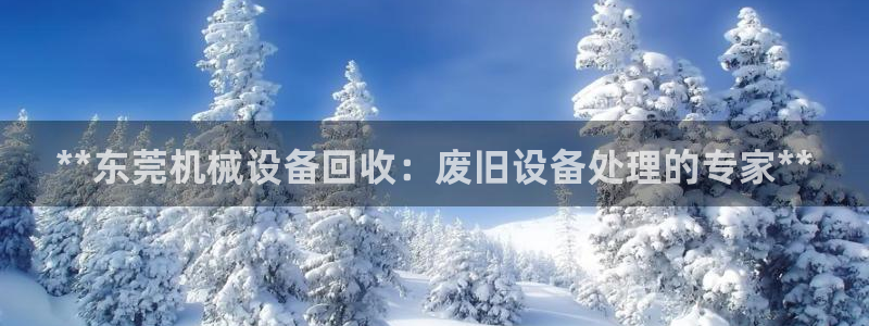杏盛平台代理：**东莞机械设备回收：废旧设备处理的专家**