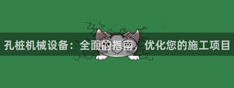 杏盛平台注册登录：孔桩机械设备：全面的指南，优化您的施工项目