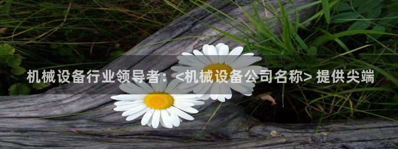 杏盛娱乐代理： 机械设备行业领导者：<机械设备公司名称> 提供尖端