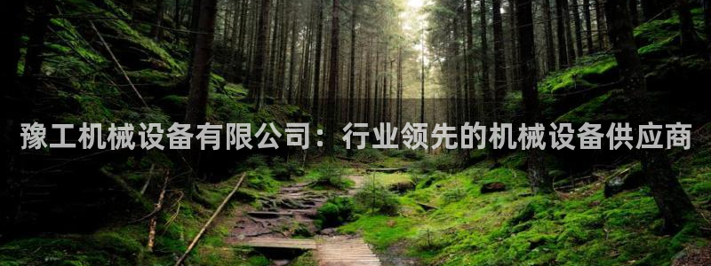 杏盛平台登陆：豫工机械设备有限公司：行业领先的机械设备供应商