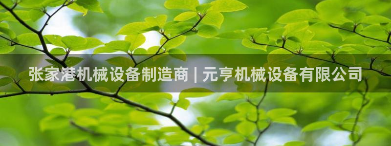 杏盛官网登录：张家港机械设备制造商 | 元亨机械设备有限公司