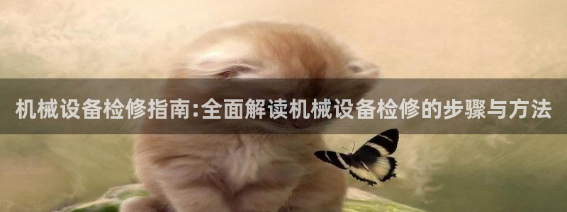 杏盛注册登录：机械设备检修指南:全面解读机械设备检修的步骤与方法