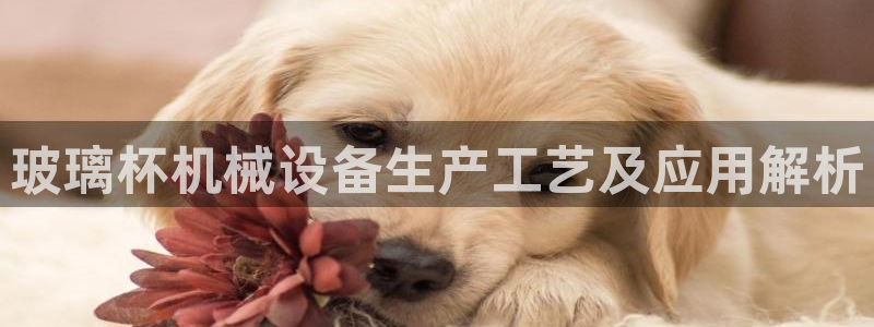 杏盛官网：玻璃杯机械设备生产工艺及应用解析