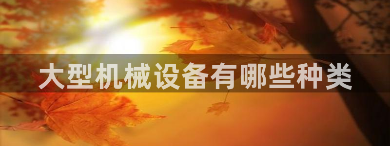 杏盛平台开户：大型机械设备有哪些种类