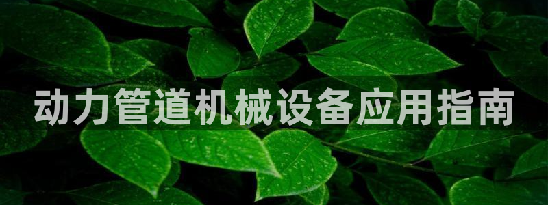杏盛官网登录：动力管道机械设备应用指南