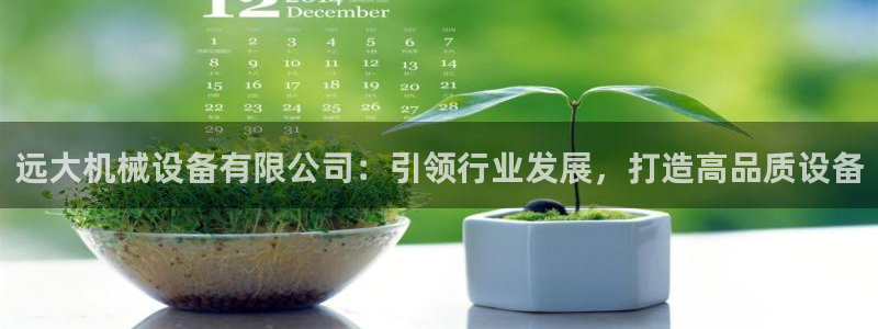 杏盛平台代理注册：远大机械设备有限公司：引领行业发展，打造高品质设备