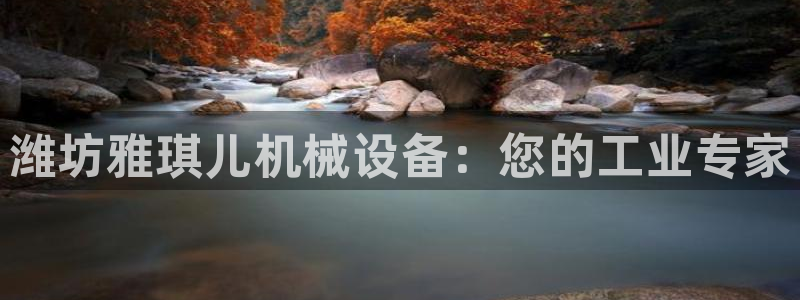 杏盛平台注册：潍坊雅琪儿机械设备：您的工业专家