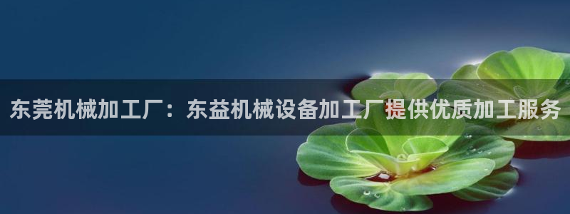 杏盛东24 35 53：东莞机械加工厂：东益机械设备加工厂提供优质加工服务