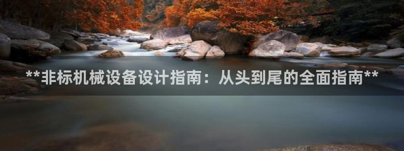 杏盛官方平台：**非标机械设备设计指南：从头到尾的全面指南**