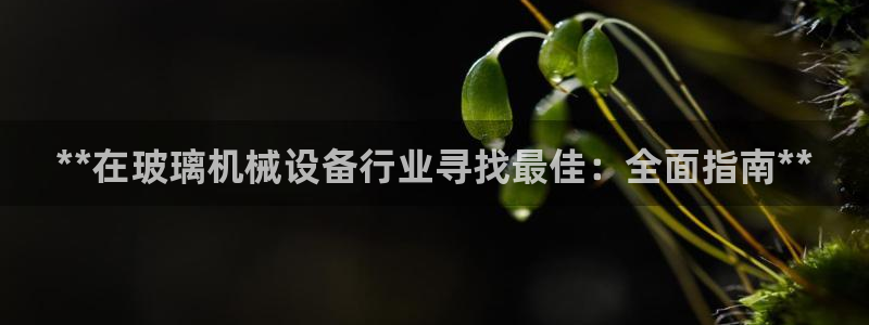 杏盛平台登录：**在玻璃机械设备行业寻找最佳：全面指南**