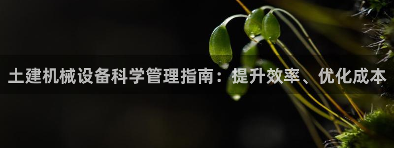 杏盛平台官网注册：土建机械设备科学管理指南：提升效率、优化成本