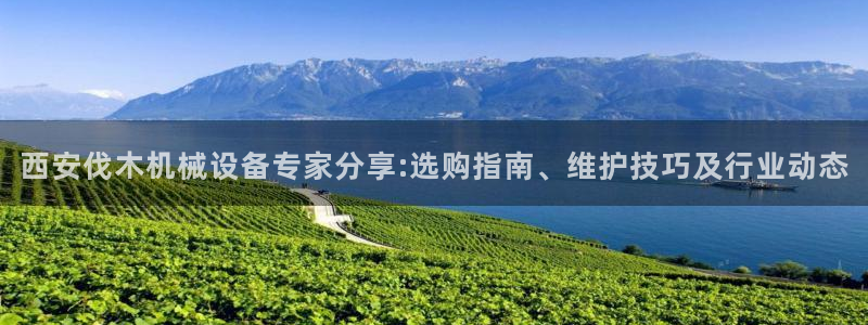 杏盛平台开户 贴吧：西安伐木机械设备专家分享:选购指南、维护技巧及行业动态