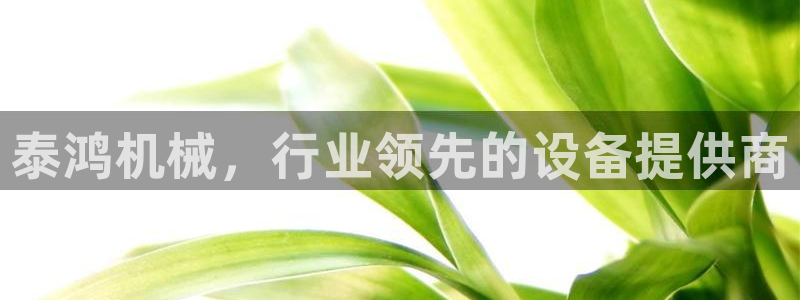 杏盛app下载：泰鸿机械，行业领先的设备