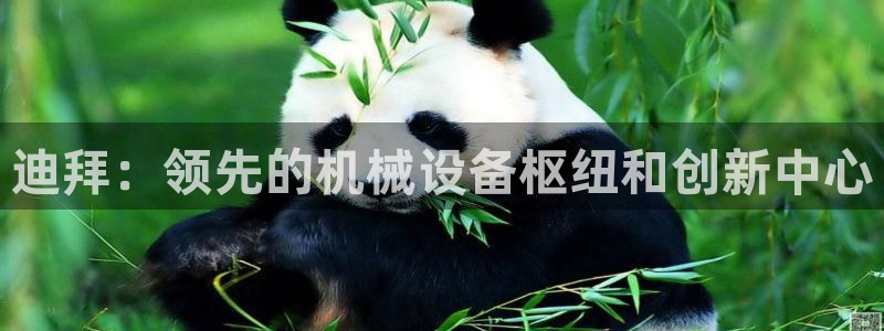 杏盛平台注册：迪拜：领先的机械设备枢纽和