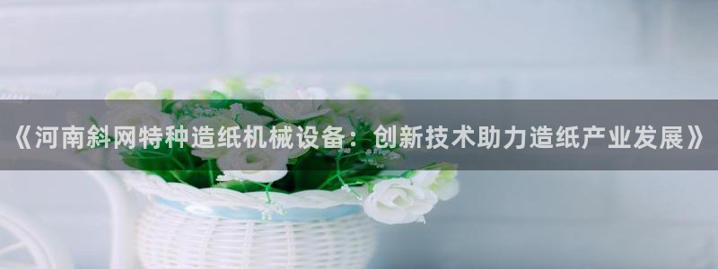 杏盛代理：《河南斜网特种造纸机械设备：创