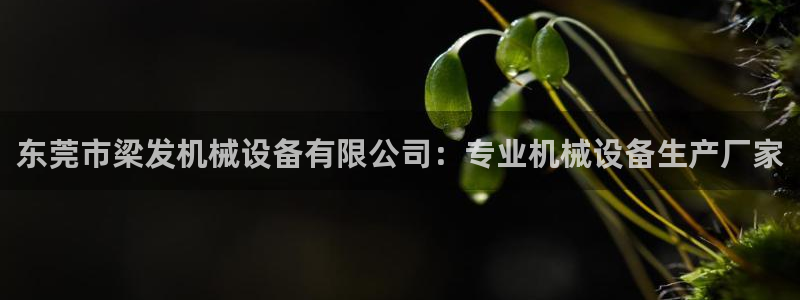 杏盛官网登录：东莞市梁发机械设备有限公司