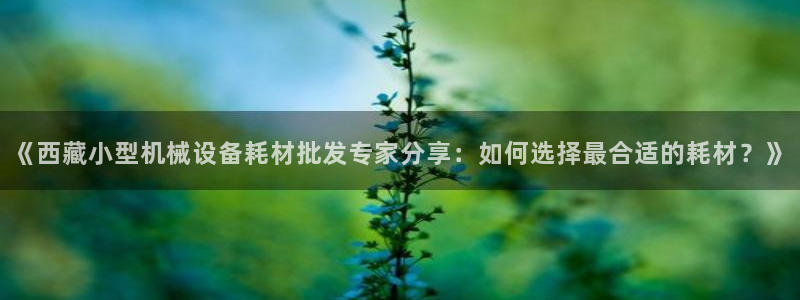 杏盛乐岳35994誓：《西藏小型机械设备