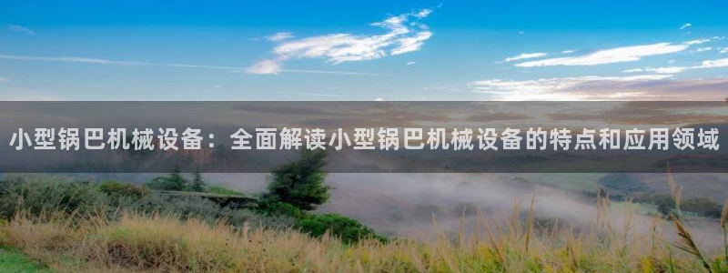 杏盛平台：小型锅巴机械设备：全面解读小型