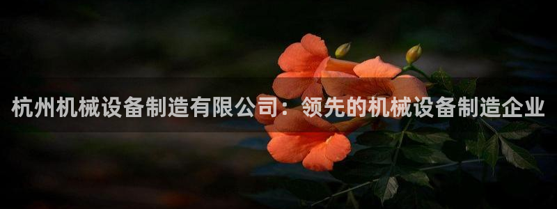 杏盛平台代理注册：杭州机械设备制造有限公