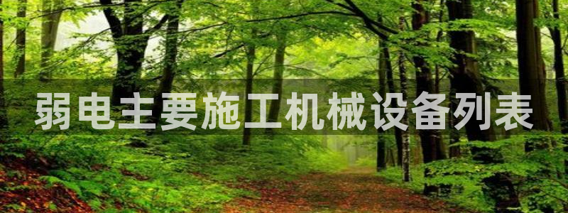 杏盛平台注册登录：弱电主要施工机械设备列